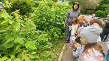 Экскурсия в аптеку Экскурсия в аптеку.