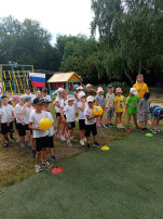 Неделя спорта Неделя спорта.